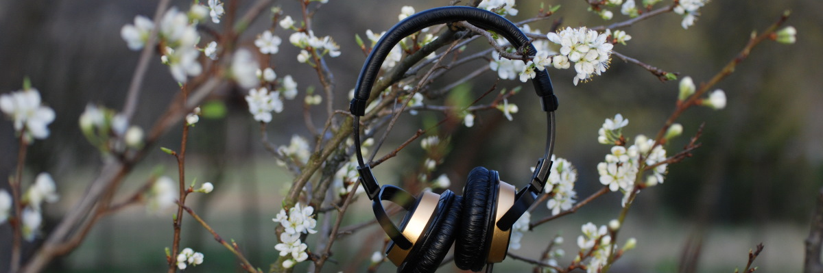 Nowy konkurs internetowy